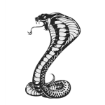 Símbolo 1ª Cia PE - Cia Cobra